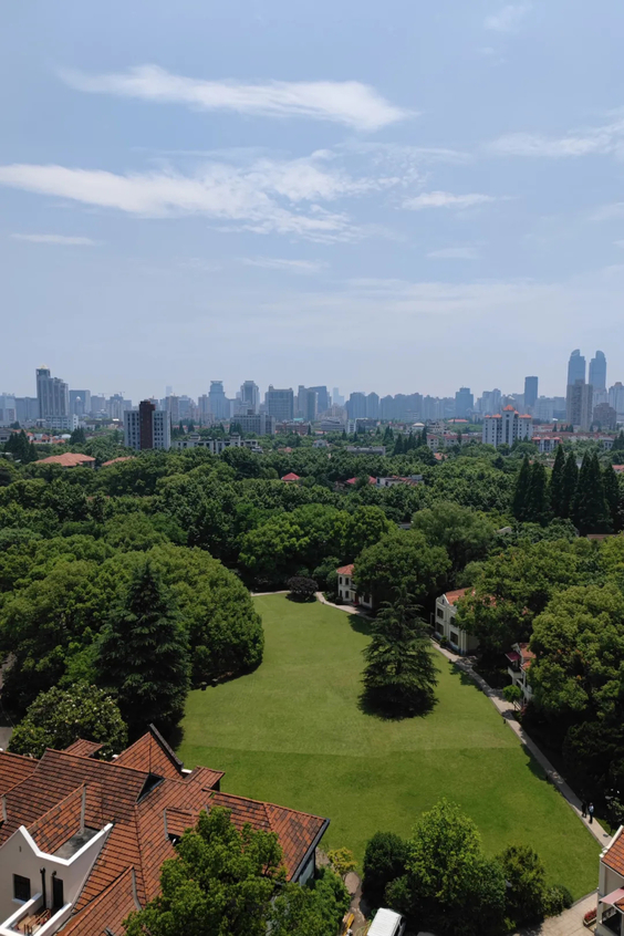 闹市之中的一方净土 现代主义极简风大宅定制(图1)